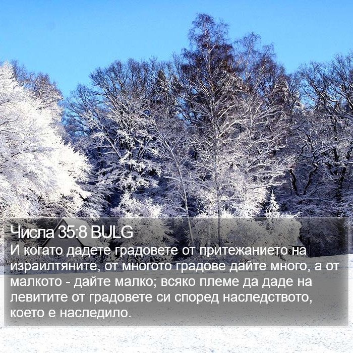 Числа 35:8 BULG Bible Study