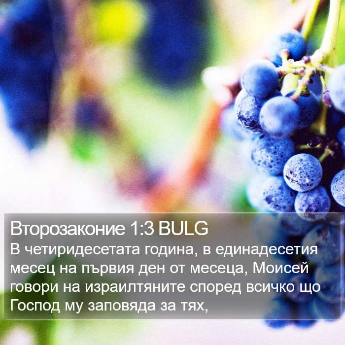 Второзаконие 1:3 BULG Bible Study