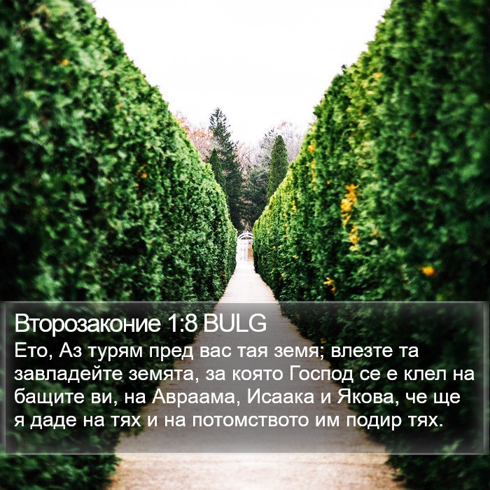 Второзаконие 1:8 BULG Bible Study