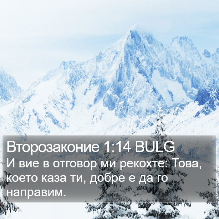 Второзаконие 1:14 BULG Bible Study