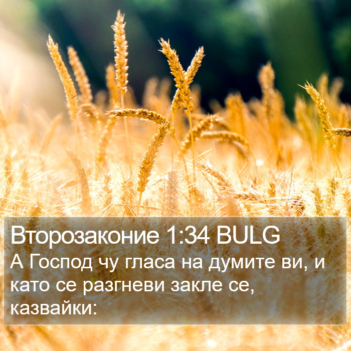 Второзаконие 1:34 BULG Bible Study