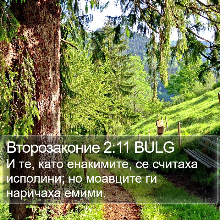 Второзаконие 2:11 BULG Bible Study