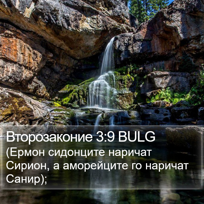 Второзаконие 3:9 BULG Bible Study
