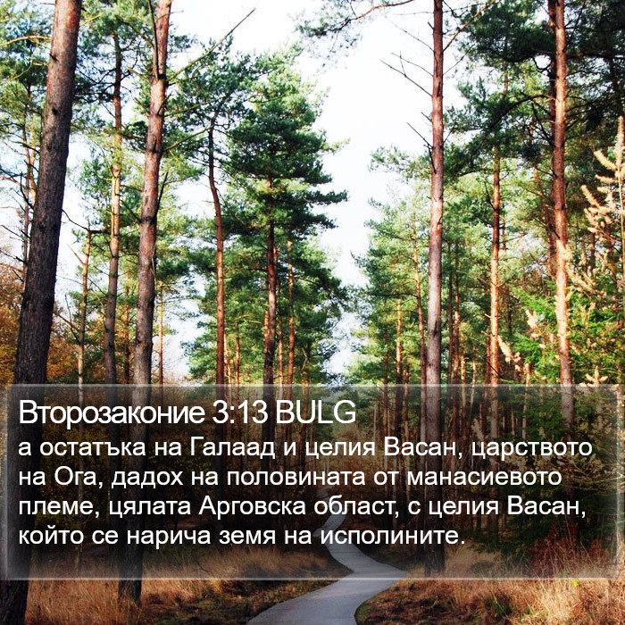 Второзаконие 3:13 BULG Bible Study