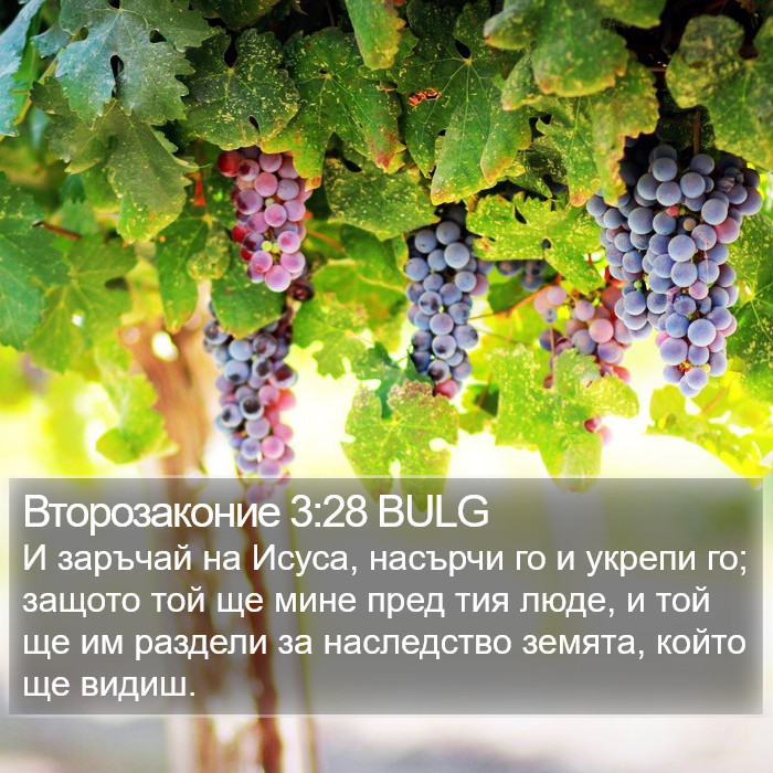 Второзаконие 3:28 BULG Bible Study