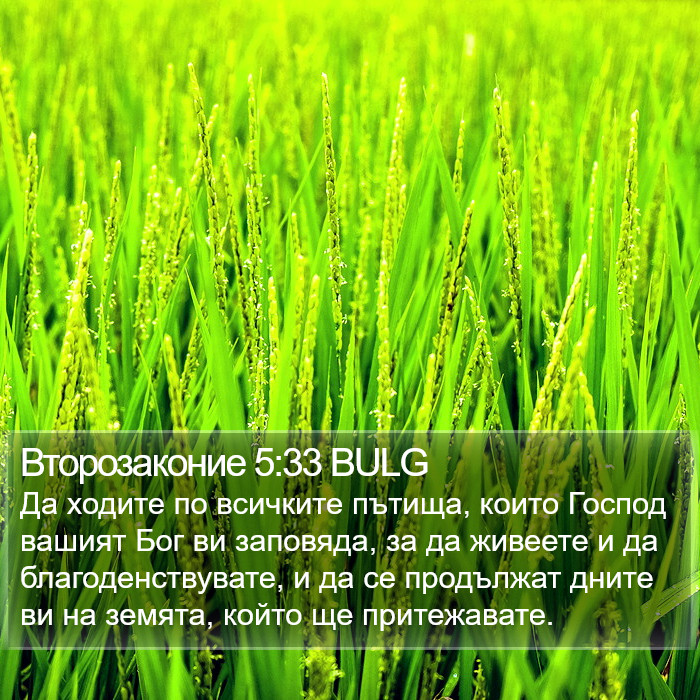 Второзаконие 5:33 BULG Bible Study