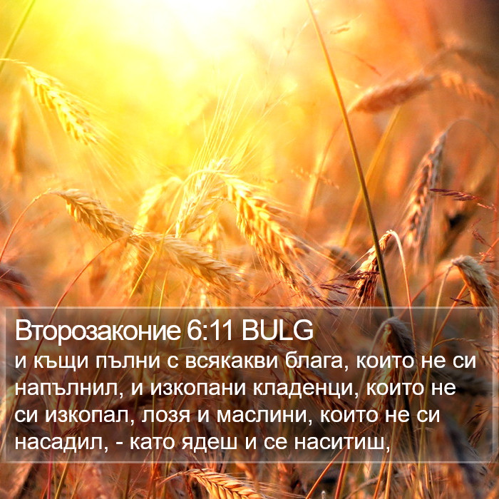 Второзаконие 6:11 BULG Bible Study