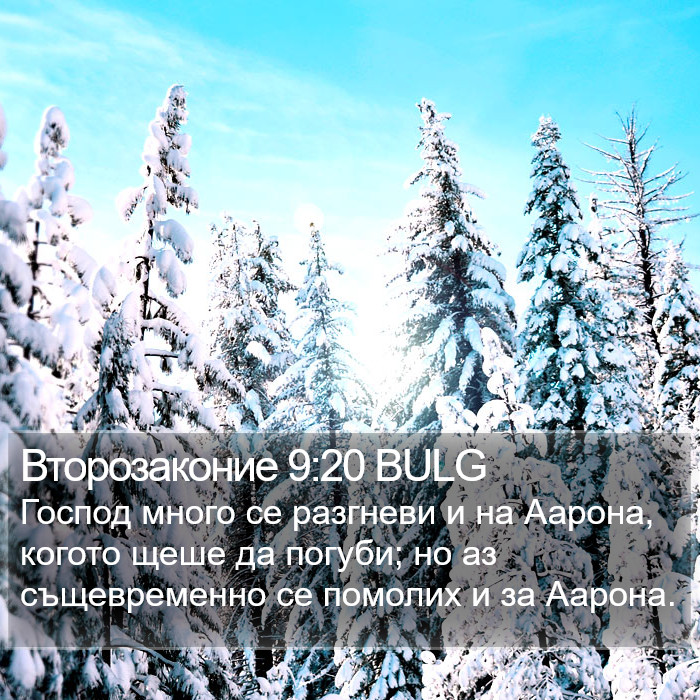 Второзаконие 9:20 BULG Bible Study