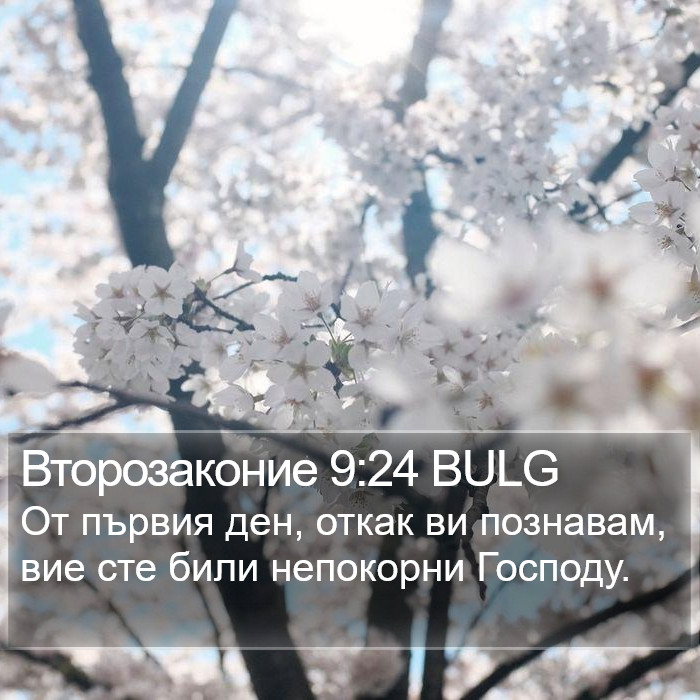 Второзаконие 9:24 BULG Bible Study