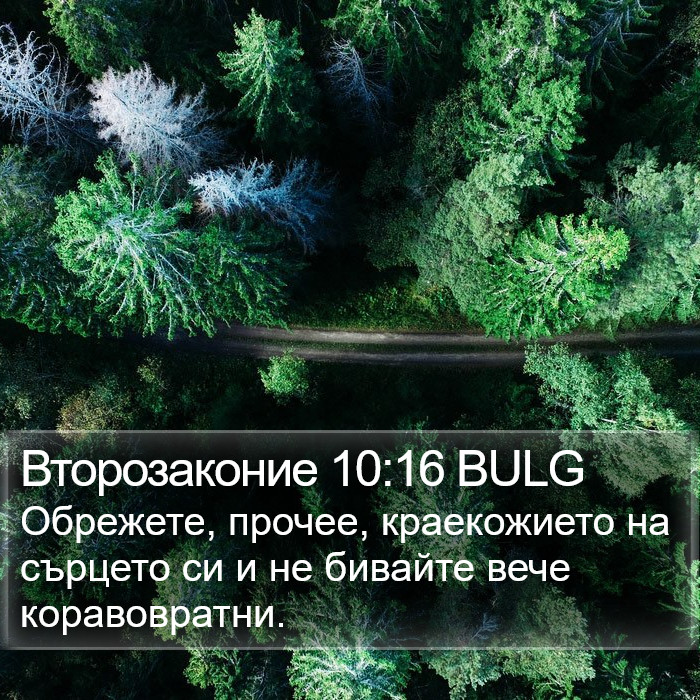 Второзаконие 10:16 BULG Bible Study