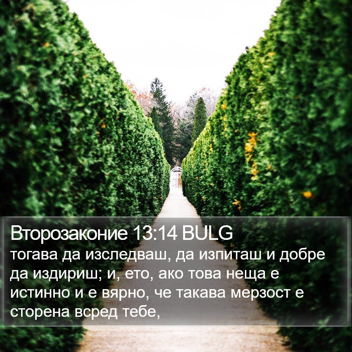 Второзаконие 13:14 BULG Bible Study