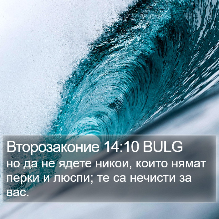 Второзаконие 14:10 BULG Bible Study
