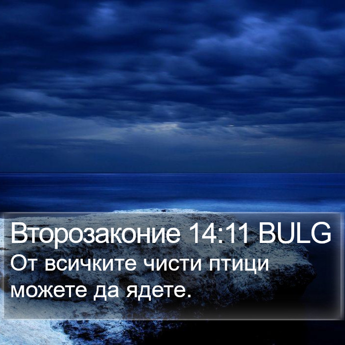 Второзаконие 14:11 BULG Bible Study