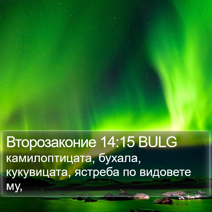 Второзаконие 14:15 BULG Bible Study