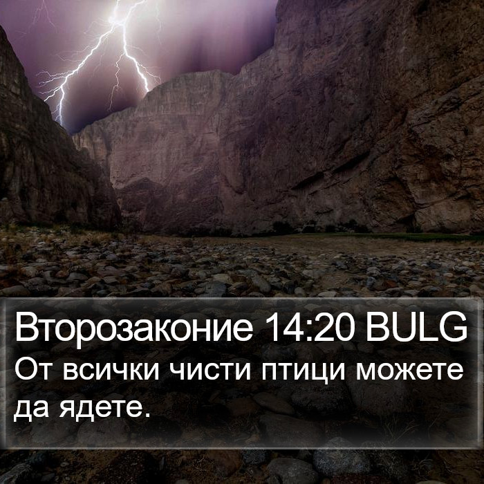 Второзаконие 14:20 BULG Bible Study