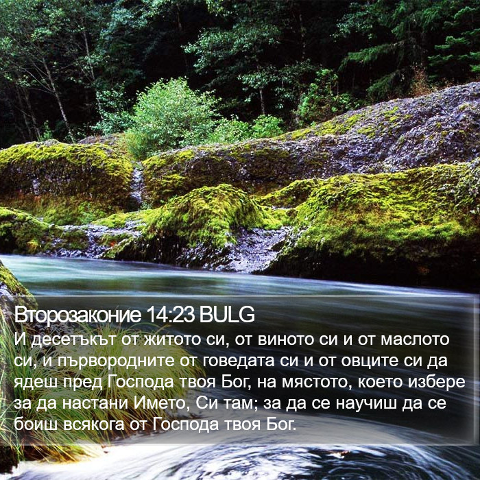 Второзаконие 14:23 BULG Bible Study