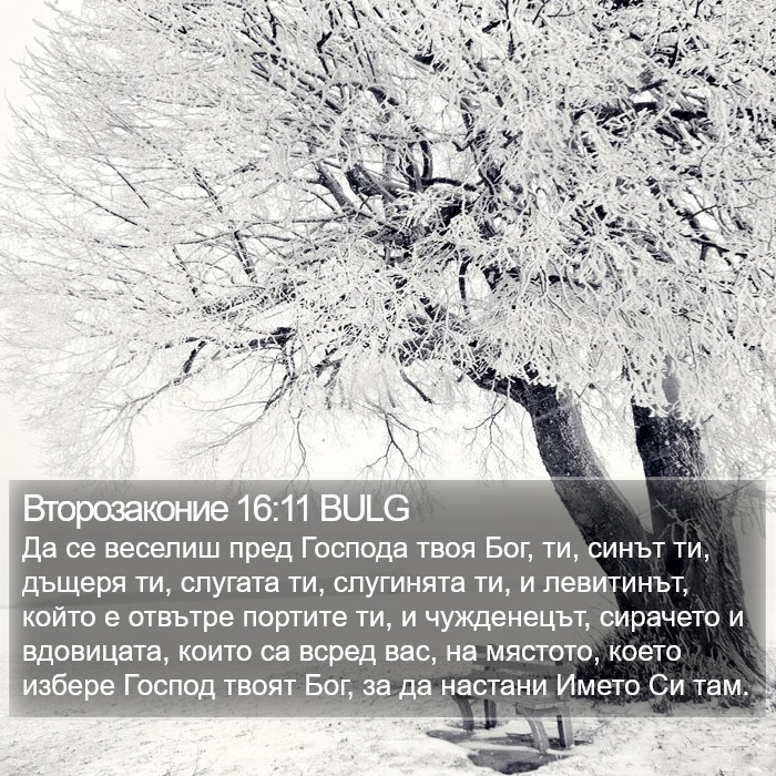 Второзаконие 16:11 BULG Bible Study