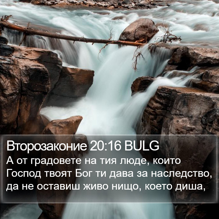 Второзаконие 20:16 BULG Bible Study