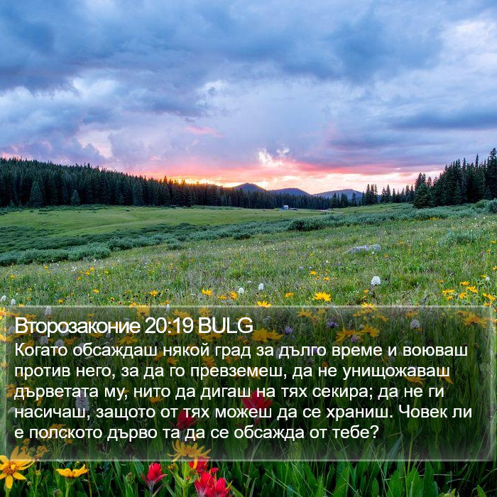 Второзаконие 20:19 BULG Bible Study