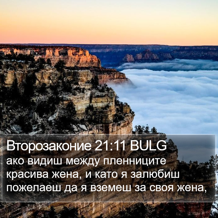 Второзаконие 21:11 BULG Bible Study