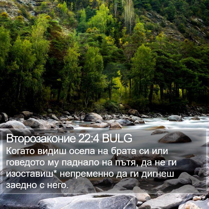 Второзаконие 22:4 BULG Bible Study