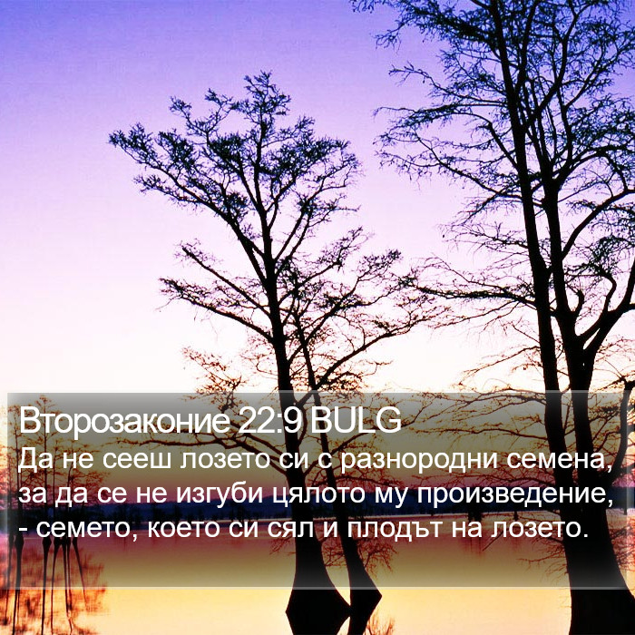 Второзаконие 22:9 BULG Bible Study