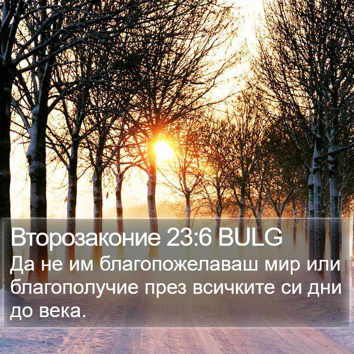 Второзаконие 23:6 BULG Bible Study