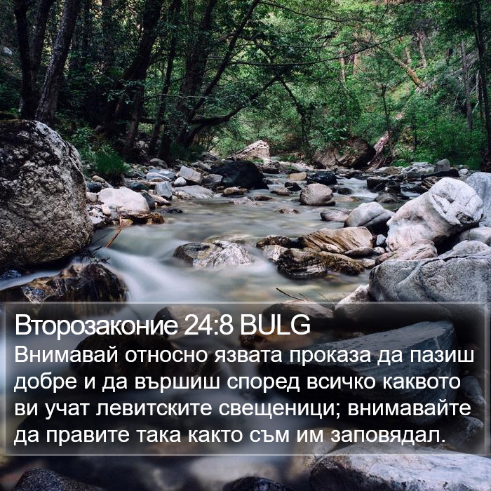 Второзаконие 24:8 BULG Bible Study