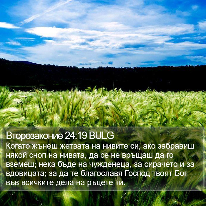 Второзаконие 24:19 BULG Bible Study