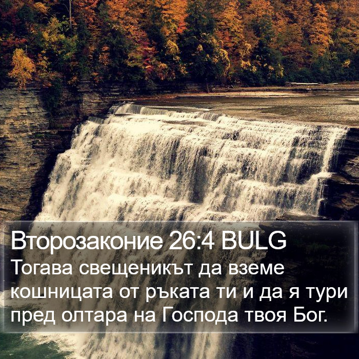 Второзаконие 26:4 BULG Bible Study