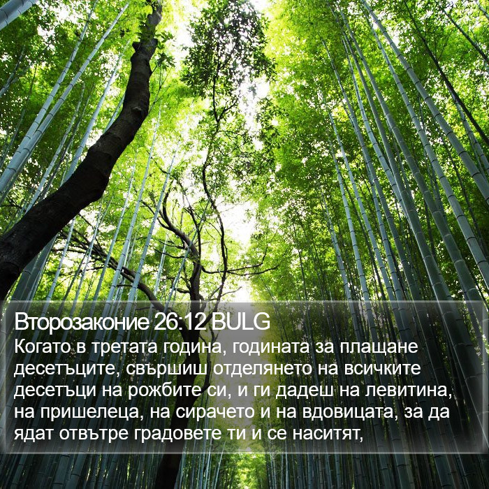 Второзаконие 26:12 BULG Bible Study
