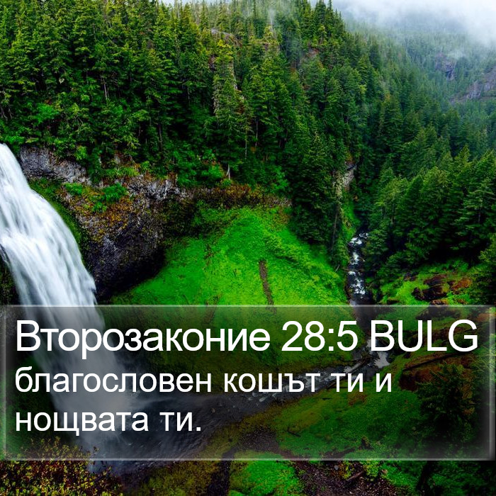 Второзаконие 28:5 BULG Bible Study