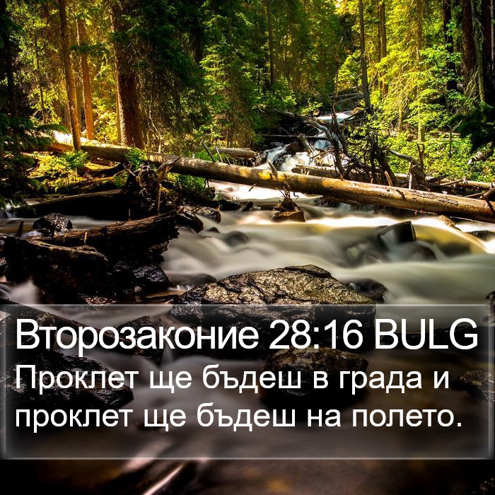 Второзаконие 28:16 BULG Bible Study