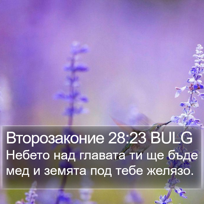 Второзаконие 28:23 BULG Bible Study