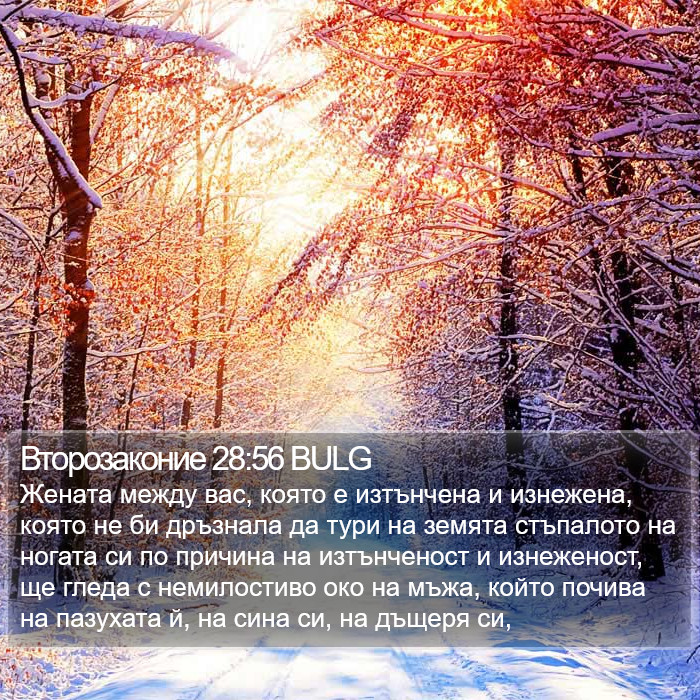 Второзаконие 28:56 BULG Bible Study