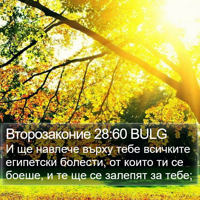 Второзаконие 28:60 BULG Bible Study