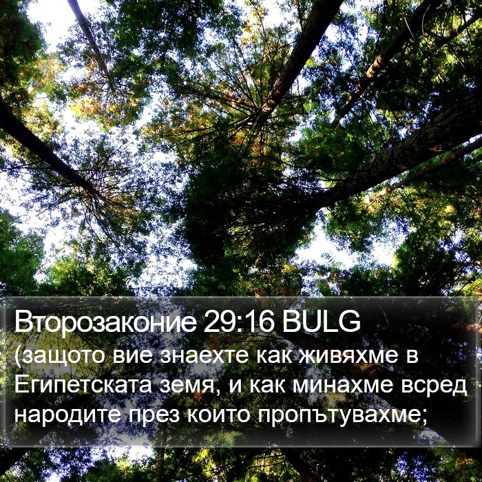 Второзаконие 29:16 BULG Bible Study