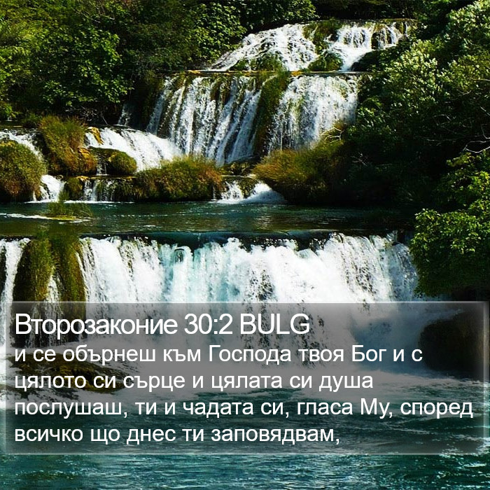 Второзаконие 30:2 BULG Bible Study