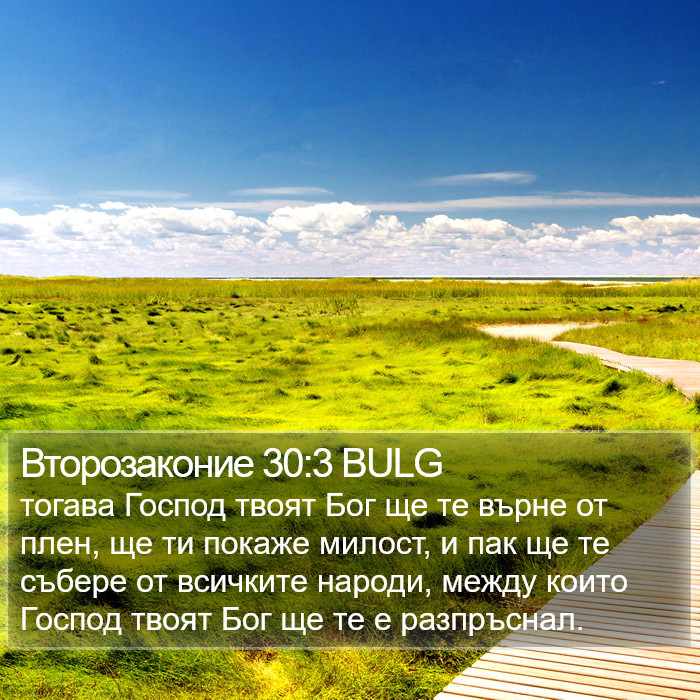 Второзаконие 30:3 BULG Bible Study