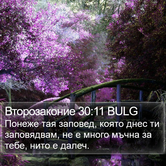 Второзаконие 30:11 BULG Bible Study