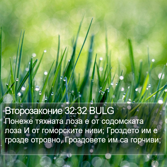 Второзаконие 32:32 BULG Bible Study