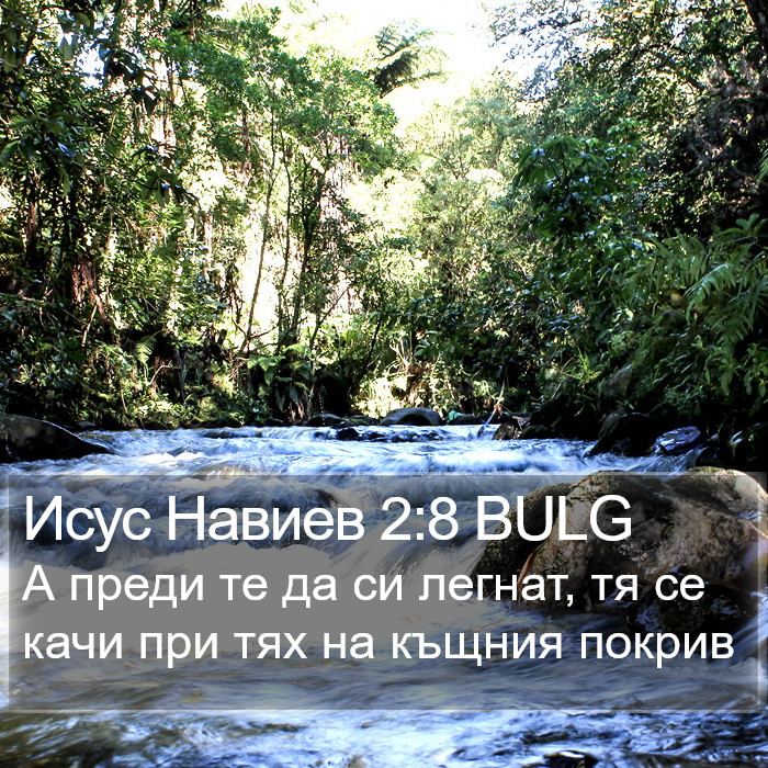 Исус Навиев 2:8 BULG Bible Study