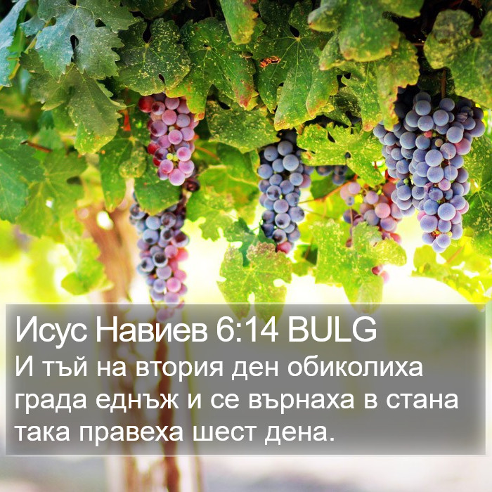 Исус Навиев 6:14 BULG Bible Study