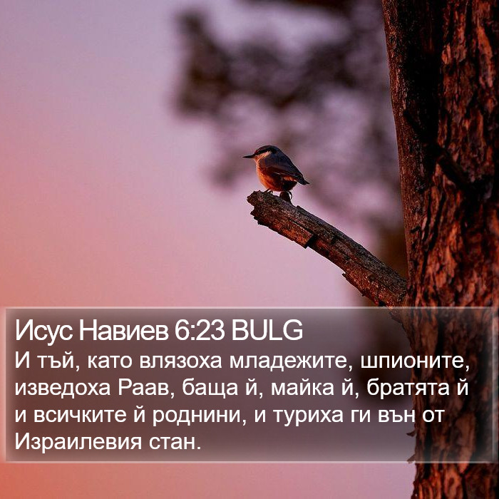 Исус Навиев 6:23 BULG Bible Study