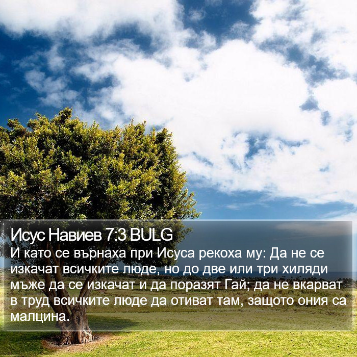 Исус Навиев 7:3 BULG Bible Study