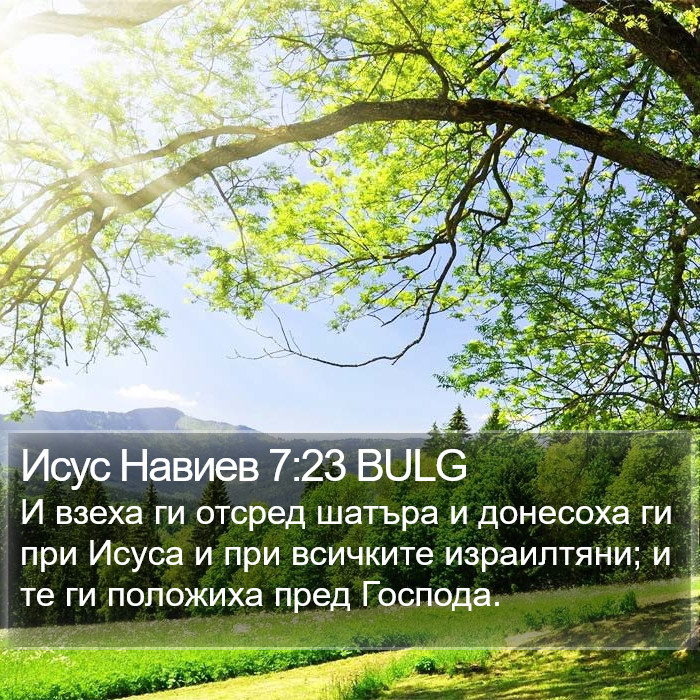 Исус Навиев 7:23 BULG Bible Study