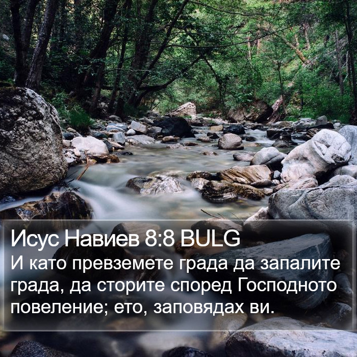 Исус Навиев 8:8 BULG Bible Study