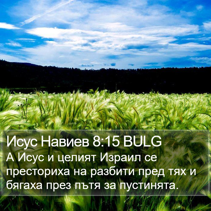 Исус Навиев 8:15 BULG Bible Study