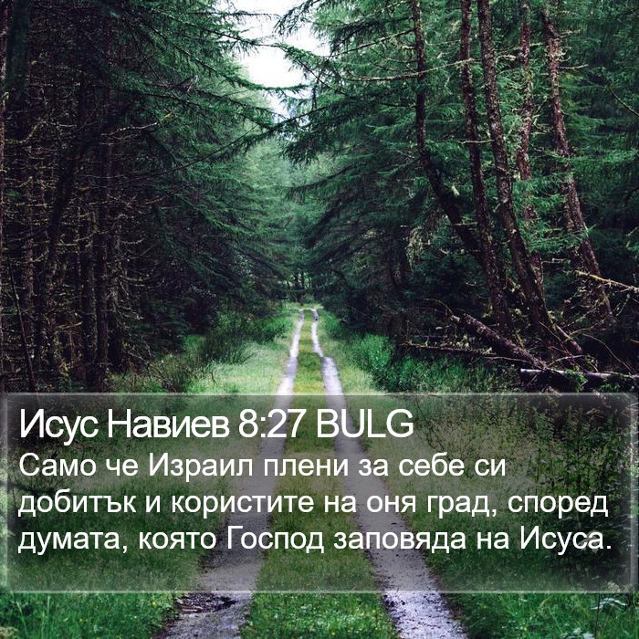 Исус Навиев 8:27 BULG Bible Study