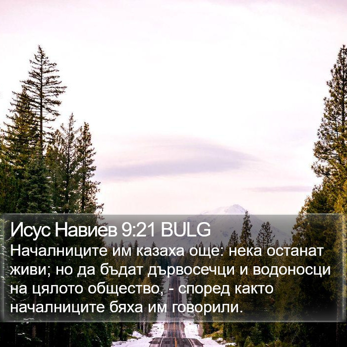 Исус Навиев 9:21 BULG Bible Study